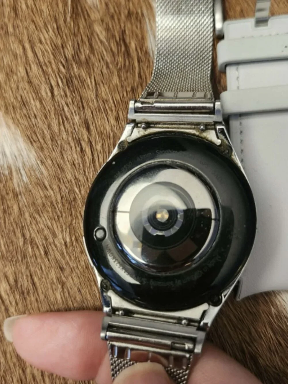 Samsung Galaxy Watch 6 Classic with NEW band